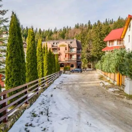 Apartament Andra Poiana Braşov Exterior foto
