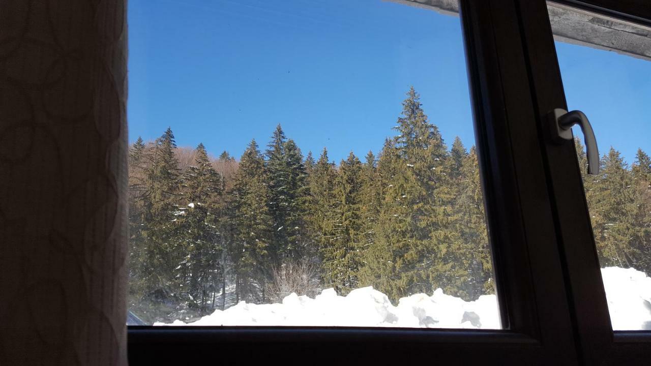 Andra * Poiana Brasov